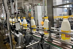 Хабаровский край наращивает производство молочной продукции