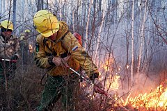 В южных районах Хабаровского края ввели особый противопожарный режим