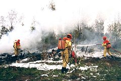 В Хабаровском крае зафиксированы первые в этом году лесные пожары