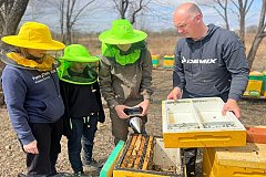 Пчеловоды Хабаровского края стали собирать больше меда