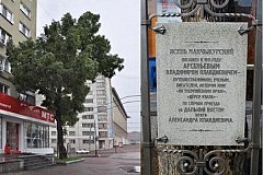 Голосуйте за символ Хабаровска: ясень Арсеньева в битве за титул "Российское дерево года"