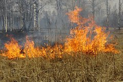 Власти Хабаровского края усилили контроль за поведением людей в лесах