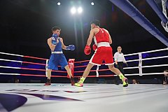 Боксёры из 15 стран бьются за награды международного турнира в Хабаровске