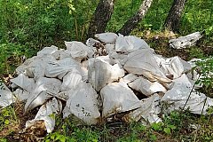 Экологический ужас под Хабаровском: найдена массовая свалка останков животных