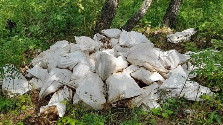 Экологический ужас под Хабаровском: найдена массовая свалка останков животных фото 2