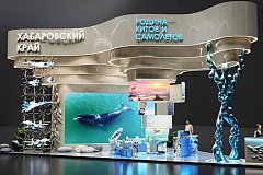 Выставка «Россия» позволила Хабаровскому краю показать свой потенциал - эксперт