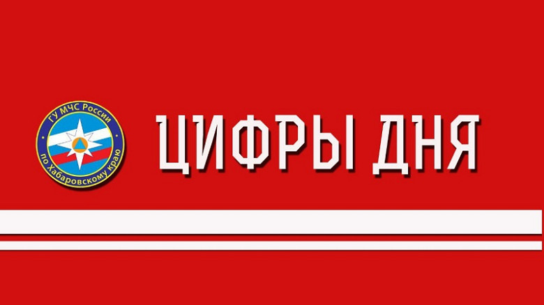 Цифры дня: за сутки в Хабаровском крае произошли четыре возгорания, один человек погиб фото 2