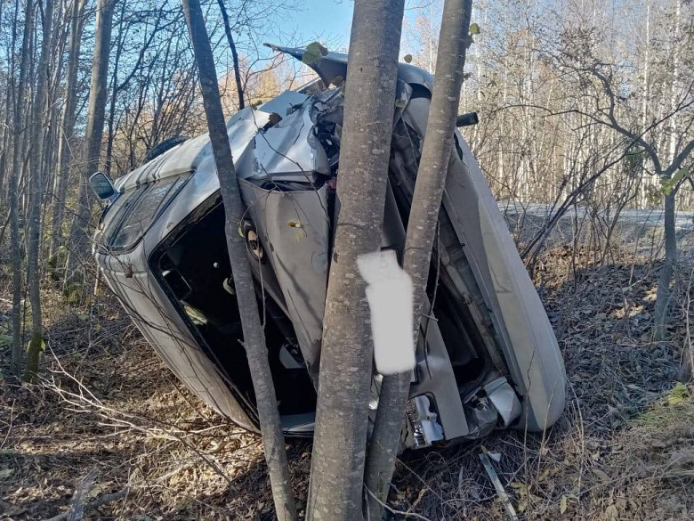 Автомобиль с погибшим водителем повис на дереве после ДТП в Хабаровском крае фото 2