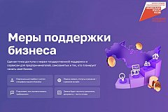 Акция для самозанятых: микрозаймы без залога и поручительства можно получить в Хабаровском крае