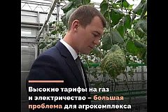 Михаил Дегтярёв посмотрел, как работает агрокомплекс "Восток"