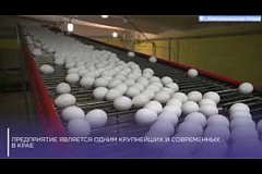 Цены на яйцо заморозят в Хабаровском крае