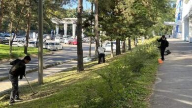Денис Митрофанов: более 37 тысяч хабаровчан приняли участие в осенней уборке города