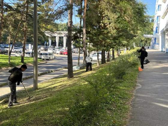 Денис Митрофанов: более 37 тысяч хабаровчан приняли участие в осенней уборке города
