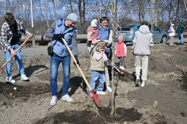 Более 4300 деревьев и кустарников высадили в этом году в Хабаровске