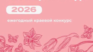 В Хабаровске продолжается прием документов для участия в городском этапе ежегодного краевого конкурса «Женщина года»