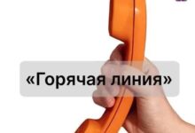 20 ноября в Хабаровском крае пройдет «горячая линия»
