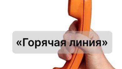 20 ноября в Хабаровском крае пройдет «горячая линия»